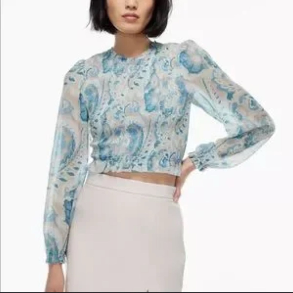 Aritzia Paisley Sheer Long-Sleeve Blouse in Light Blue and White